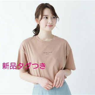 オペークドットクリップ(OPAQUE.CLIP)の新品タグつき☆オペークドットクリップオーガニックコットン ロゴTシャツベージュ (Tシャツ(半袖/袖なし))