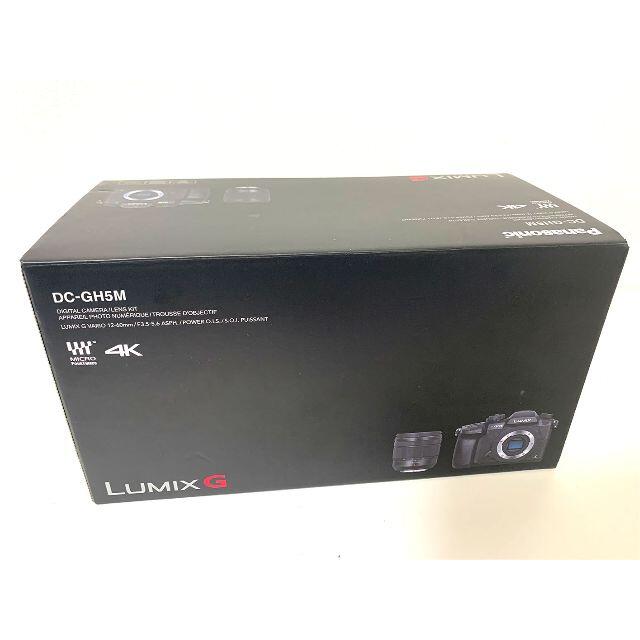 【美品】Panasonic LUMIX G DC-GH5M-K