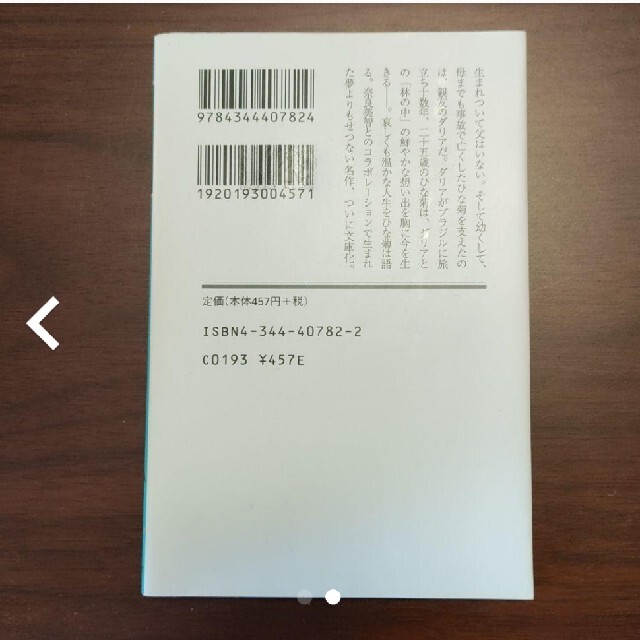 ひな菊の人生 エンタメ/ホビーの本(文学/小説)の商品写真