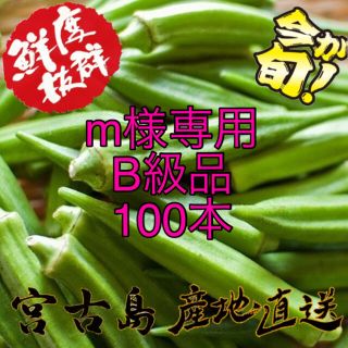 ☆m様専用☆訳あり 宮古島産 オクラ 100本(野菜)