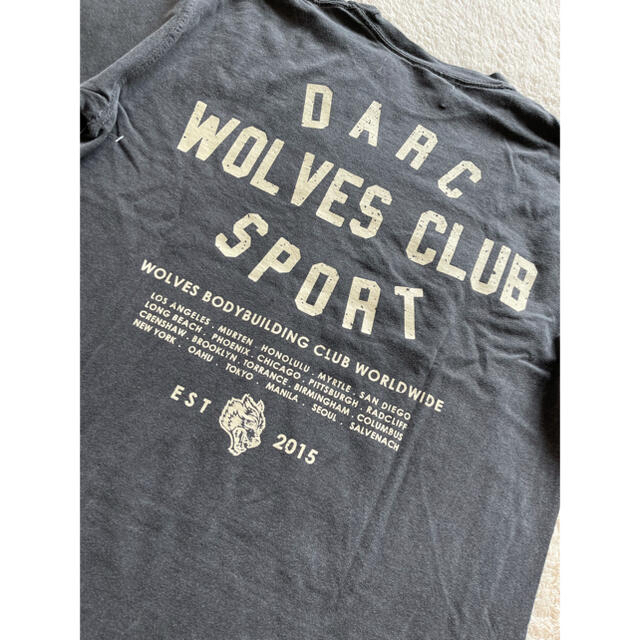 darcsport t-shirt ( grey )