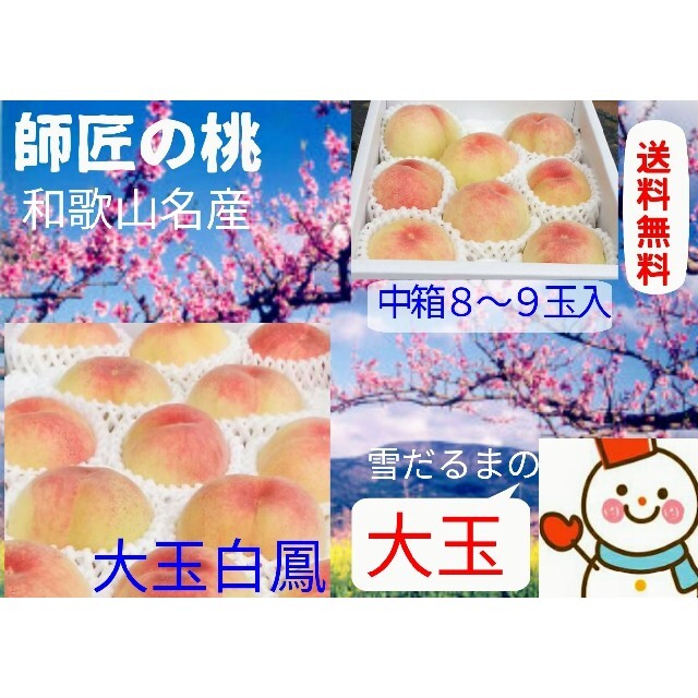 師匠の桃♥和歌山早生白鳳を♥げんき農家雪だるまから直送 食品/飲料/酒の食品(フルーツ)の商品写真