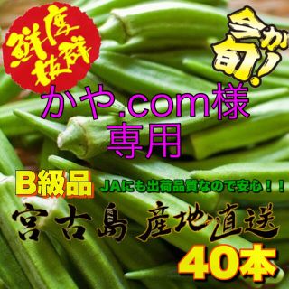 ☆かや.com様専用☆訳あり 宮古島産 オクラ 40本(野菜)