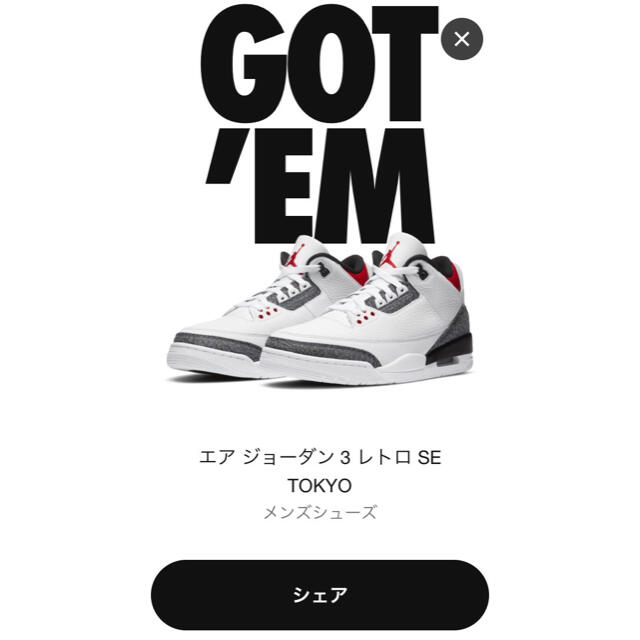 NIKE AIR JORDAN 3 RETRO SE-T エア ジョーダン 3