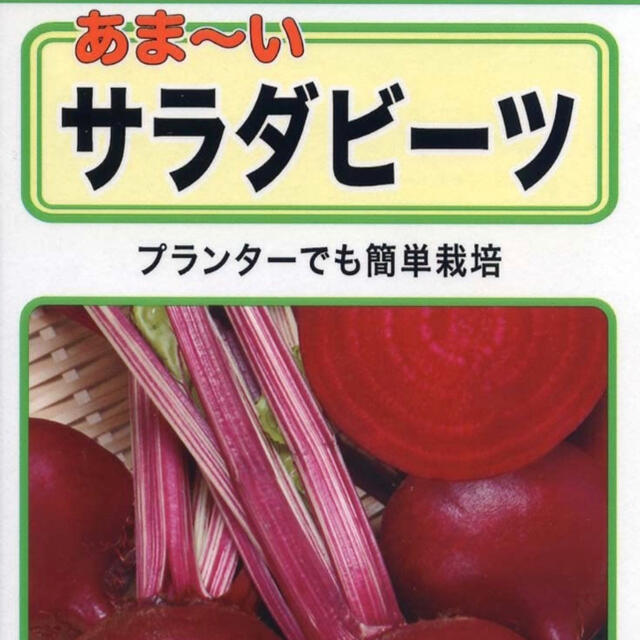 秋の家庭菜園・葉酸たっぷりのビーツを育てよう 野菜種10個 食品/飲料/酒の食品(野菜)の商品写真