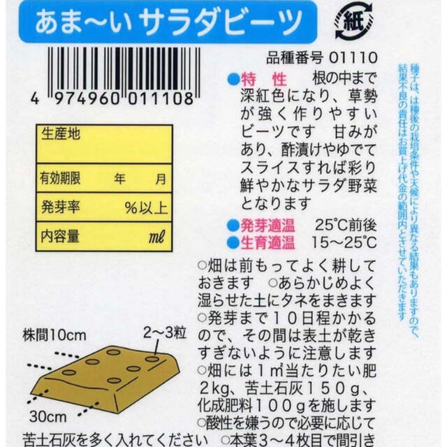 秋の家庭菜園・葉酸たっぷりのビーツを育てよう 野菜種10個 食品/飲料/酒の食品(野菜)の商品写真