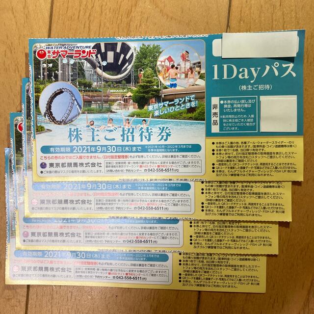 東京サマーランド1Dayパス　4枚