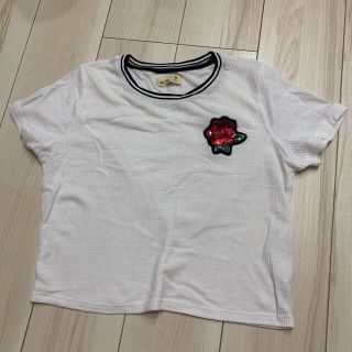 ホリスター(Hollister)のTシャツ(Tシャツ(半袖/袖なし))