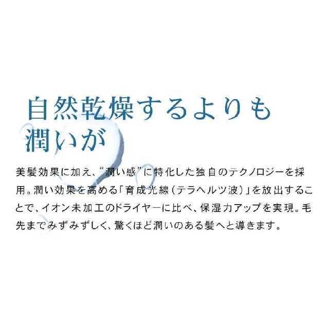 コード ホリスティックキュア by のんこ's shop｜ラクマ ドライヤーRp.(CCID-G04B)の通販 ドライヤー