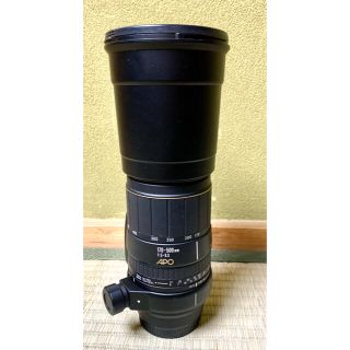 シグマ(SIGMA)のソニー用 SIGMA 170-500mm F5-6.3 APO 後期型(レンズ(ズーム))