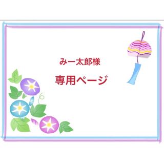 babyall maiyapen 英語絵本　マイヤペンセット　専用(洋書)