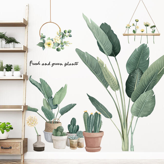 ウォールステッカー観葉植物 リーフ壁紙 Diy 多肉植物 剥がせる ステッカーの通販 By ウォールステッカー専門店 ラクマ ウォールステッカー観葉植物 リーフ壁紙 Diy 多肉植物 剥がせる ステッカーの通販 By ウォールステッカー専門店 ラクマ