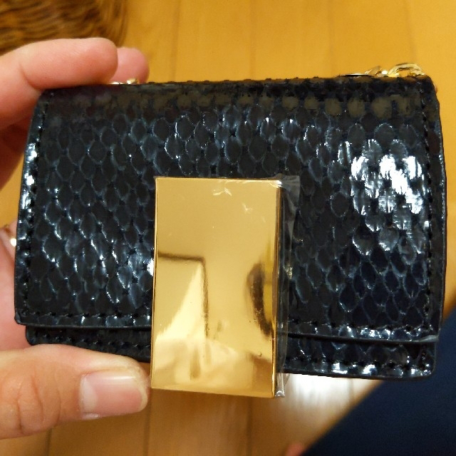 GRL(グレイル)のbaiya 小さい　ポーチ　バッグ　へび　黒　ブラック　カバン　鞄　ショルダー レディースのバッグ(ショルダーバッグ)の商品写真