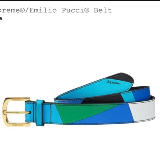 Buy Supreme x Emilio Pucci Belt 'Black' - SS21A16 BLACK