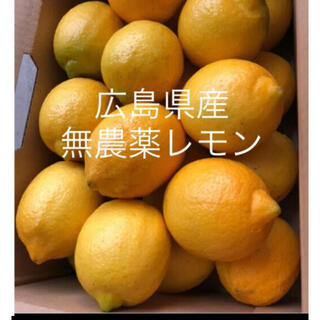 国産　レモン　広島県産　無農薬　レモン　瀬戸内レモン　2kg(フルーツ)