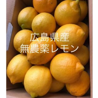 国産　レモン　広島県産　無農薬　レモン　瀬戸内レモン　2kg(フルーツ)