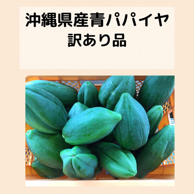 ⚠️土日限定⚠️沖縄県産青パパイヤ規格外10Kg  食品/飲料/酒の食品(野菜)の商品写真