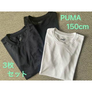 プーマ(PUMA)のPUMA 150 Tシャツ 新品 セット プーマ150センチ(Tシャツ/カットソー)