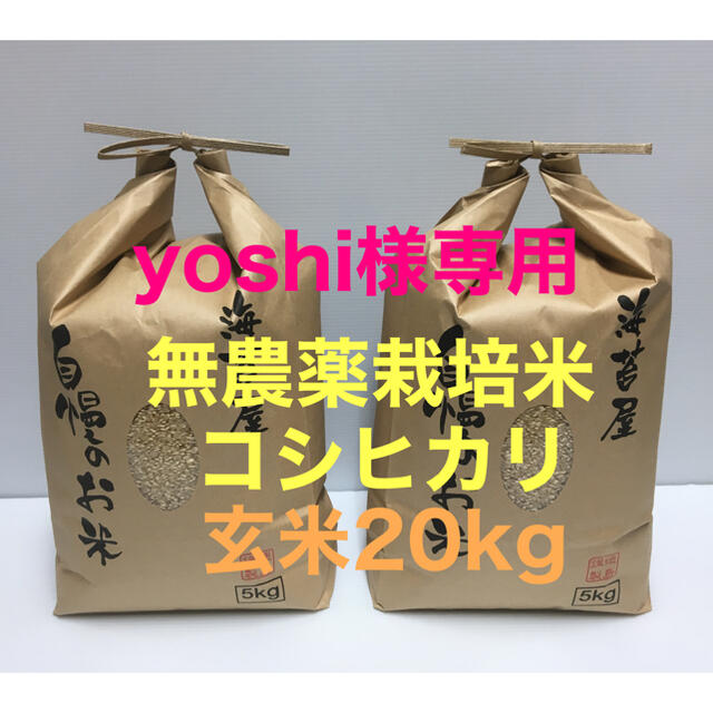 yoshi様専用 無農薬コシヒカリ玄米20kg(5kg×4)令和2年 徳島県産