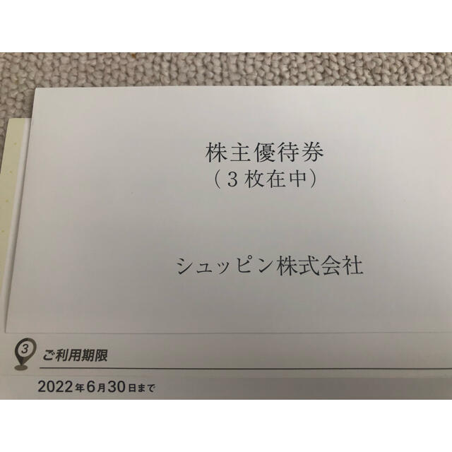 クリアランス本物 株主優待券 シュッピン 3枚 | rachmian.com