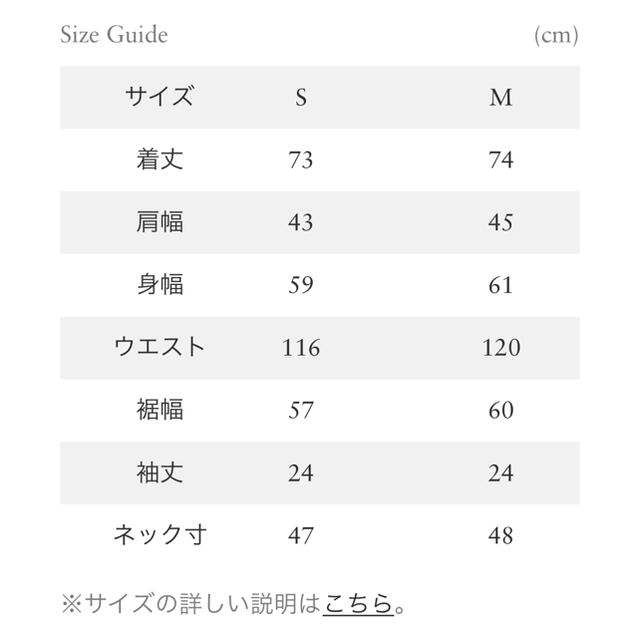 RHC ディッキーズ　Lamination SanDiegoロンハーマン 完売品