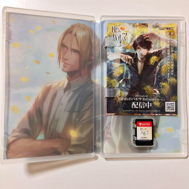 SWITCH 囚われのパルマ Deluxe Edition ゲームソフト ハルト 3