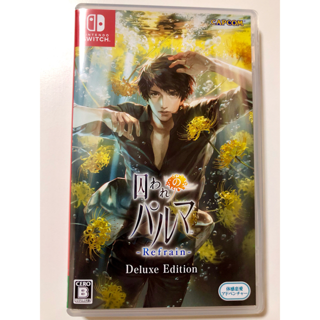 SWITCH 囚われのパルマ Deluxe Edition ゲームソフト ハルト 4