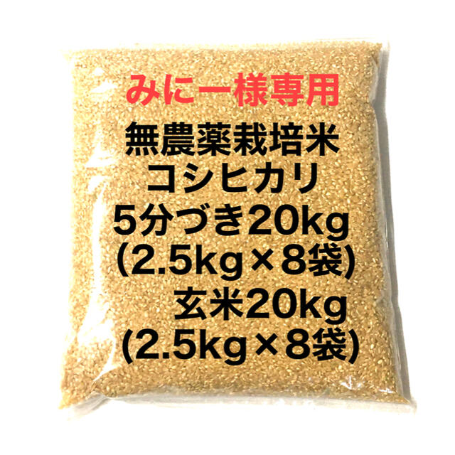 みゆ様専用 農薬無し純こしひかり90㎏玄米