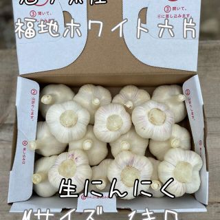 福地ホワイト六片　生ニンニク(野菜)