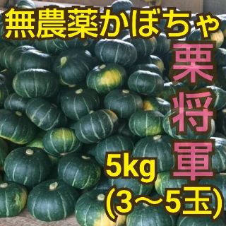 無農薬かぼちゃ(栗将軍)5kg熊本県産(野菜)