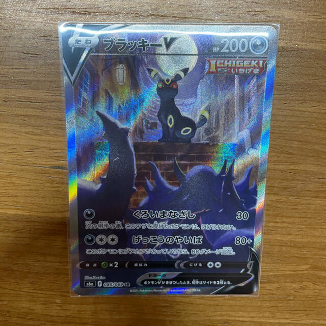 ポケモン - ブラッキーV SA フライゴン
