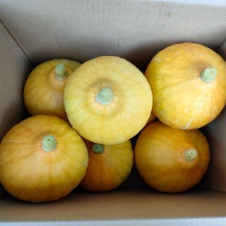 コリンキー6.0kg・7〜8個(農薬化学肥料不使用)(野菜)