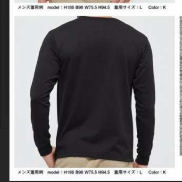 THE NORTH FACE(ザノースフェイス)のノースフェイス　ロングtシャツ メンズのトップス(Tシャツ/カットソー(七分/長袖))の商品写真