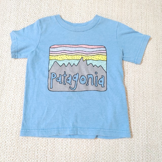 patagonia(パタゴニア)のまいまい様専用　パタゴニア　3T 　Tシャツ　トップス　ブル キッズ/ベビー/マタニティのキッズ服男の子用(90cm~)(Tシャツ/カットソー)の商品写真