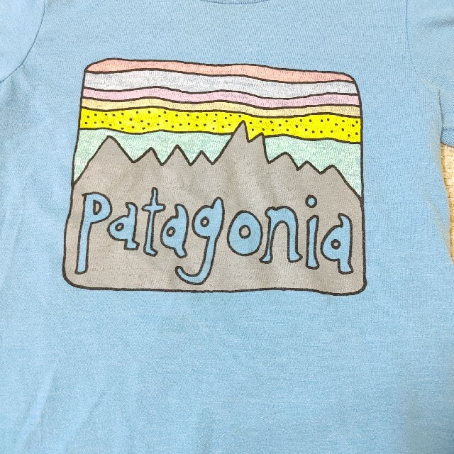 patagonia(パタゴニア)のまいまい様専用　パタゴニア　3T 　Tシャツ　トップス　ブル キッズ/ベビー/マタニティのキッズ服男の子用(90cm~)(Tシャツ/カットソー)の商品写真