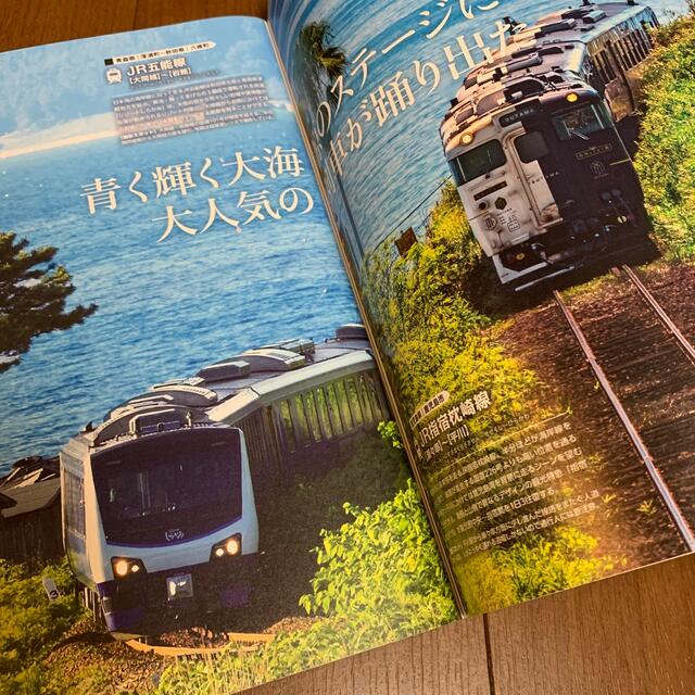 鉄道絶景 見ても乗っても感動！ エンタメ/ホビーの本(趣味/スポーツ/実用)の商品写真