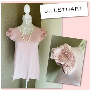 ジルスチュアート(JILLSTUART)の専用です♡ジルスチュアート　袖バラ　可愛いカットソー♡(カットソー(半袖/袖なし))