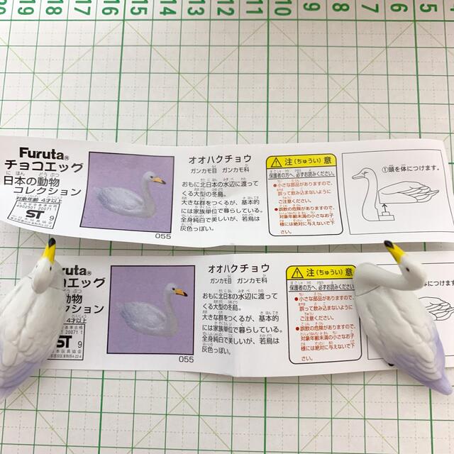 フルタ製菓(フルタセイカ)のチョコエッグ　オオハクチョウ　鳥　フィギュア エンタメ/ホビーのフィギュア(その他)の商品写真