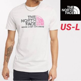 ザノースフェイス(THE NORTH FACE)のノースフェイス Tシャツ 海外Lサイズ(Tシャツ/カットソー(半袖/袖なし))