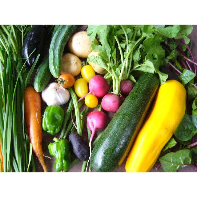 野菜詰め合わせ　６０サイズ　農薬・化学肥料不使用 食品/飲料/酒の食品(野菜)の商品写真