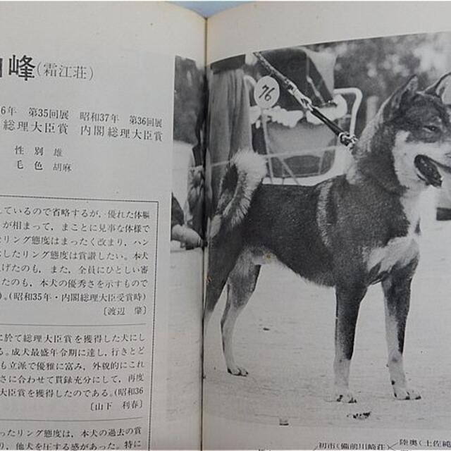 日本犬名犬写真集２愛犬の友編集部初版昭和４９年１１月２０日発刊 5