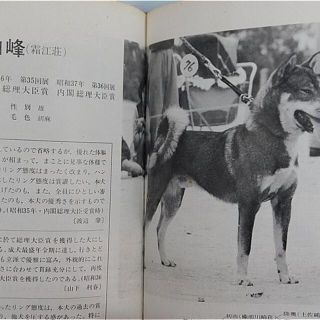 日本犬名犬写真集２愛犬の友編集部初版昭和４９年１１月２０日発刊