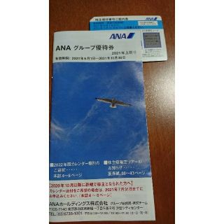  ANA  優待券とグループ優待(その他)