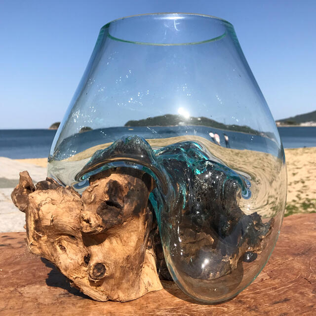 流木ガラス オブジェ大1 花瓶 金魚鉢 ガーデニング テラリウム 観賞魚