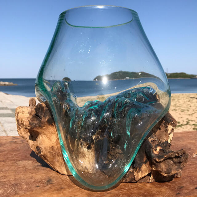流木ガラス オブジェ大1 花瓶 金魚鉢 ガーデニング テラリウム 観賞魚