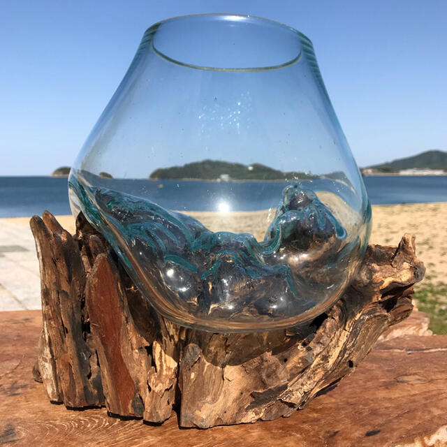 流木ガラス オブジェ大1 花瓶 金魚鉢 ガーデニング テラリウム 観賞魚