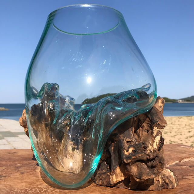 流木ガラス オブジェ大1 花瓶 金魚鉢 ガーデニング テラリウム 観賞魚