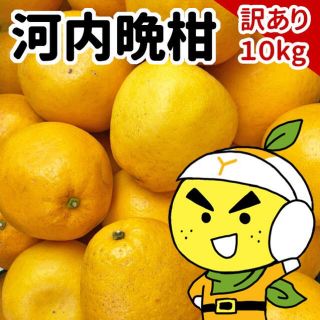 愛媛県産　宇和ゴールド　訳あり　10kg(フルーツ)