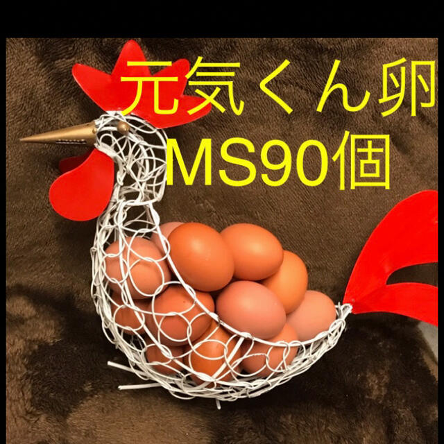 元気90 食品/飲料/酒の健康食品(その他)の商品写真