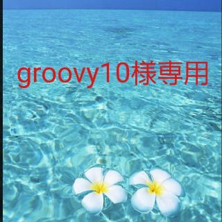 groovy10 専用  ソーラーパネルケーブル(その他)